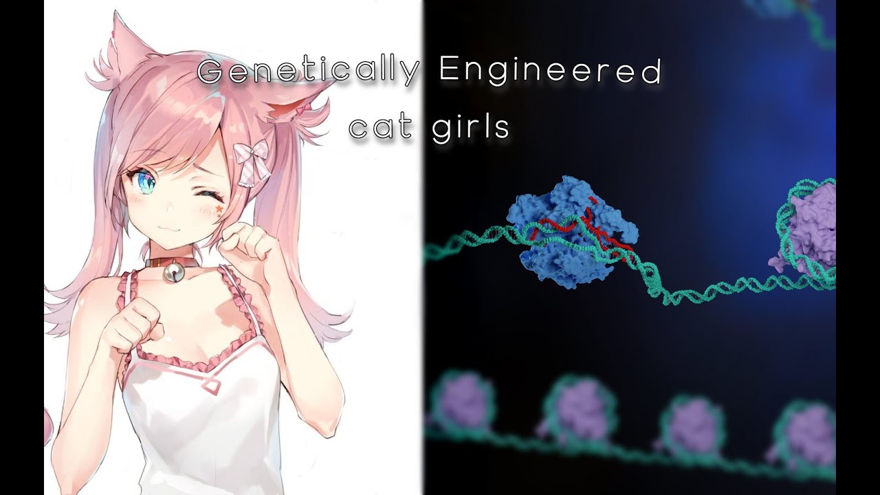 engineered cat girls YouTube