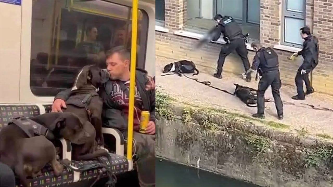 Petition to hold Met Police ‘criminally accountable’ for shooting two