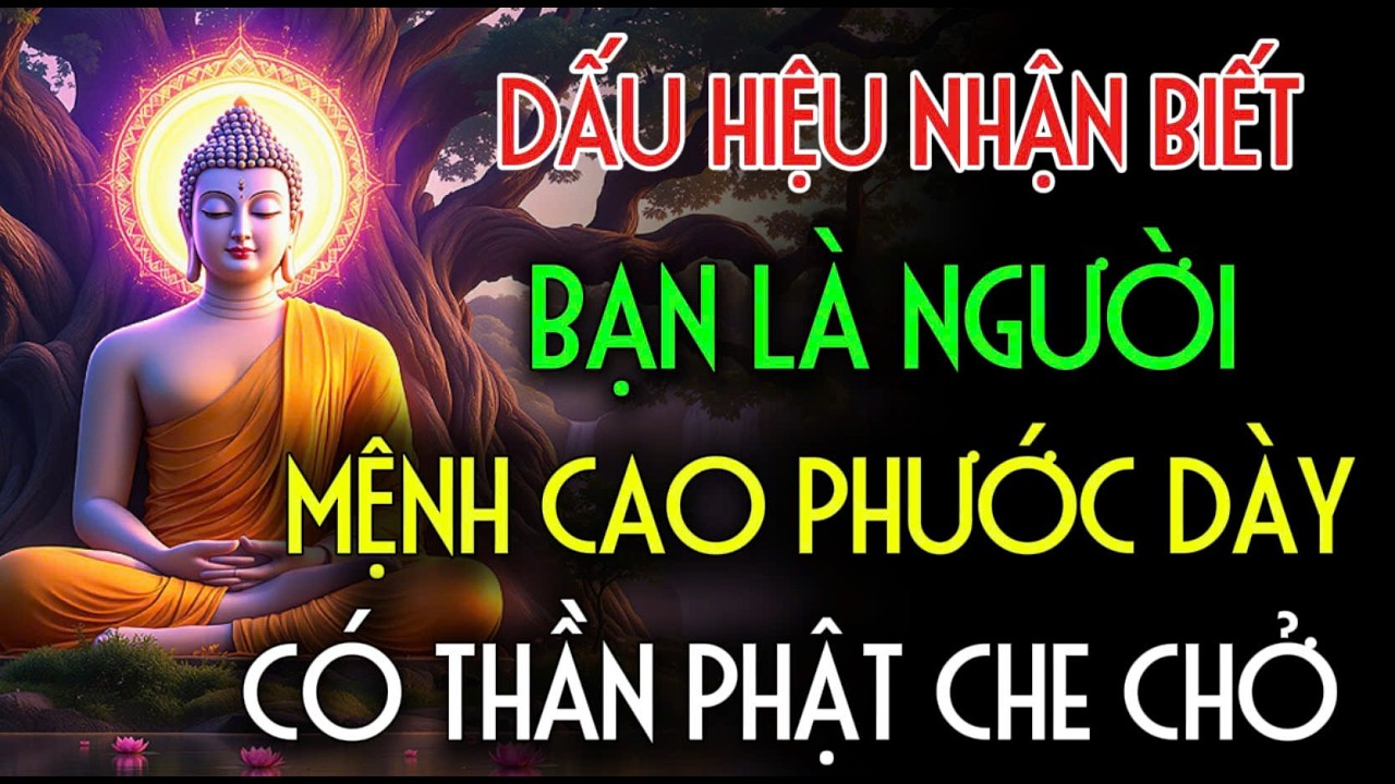 DẤU HIỆU NHẬN BIẾT BẠN LÀ NGƯỜI, MỆNH CAO PHƯỚC DÀY, CÓ THẦN PHẬT CHE CHỞ | Nhân Tâm Chỉ Lộ