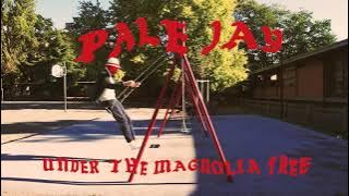 Download lagu Pale Jay-Under The Magnolia Tree  [ VISUALIZER]