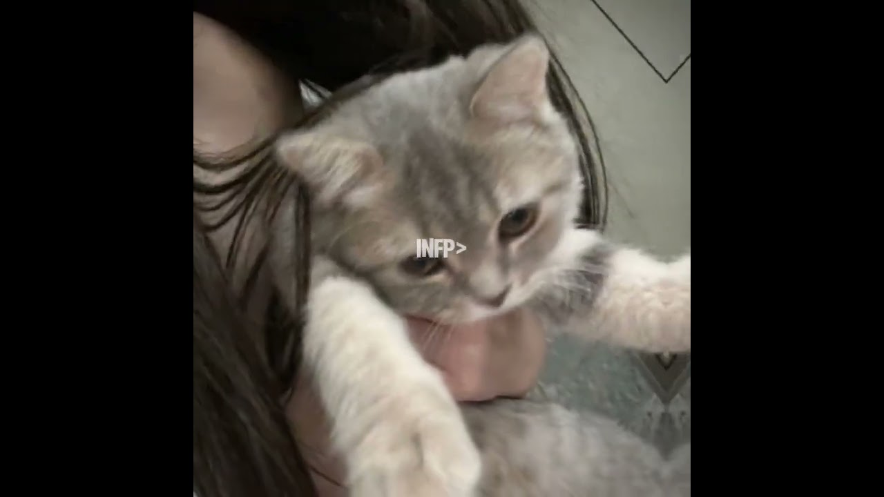 INFP Vibes Edit Video Capcut Template
