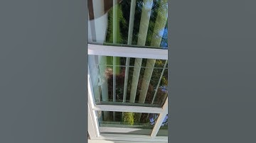 paint under wood window grids the right way