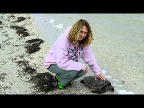 julie with turtle