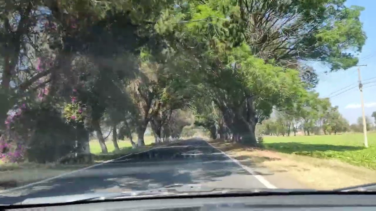 Camino a jaral del progreso Guanajuato 