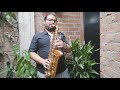 Lady Laura - Roberto Carlos (saxofón cover)