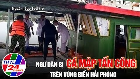 Ngư dân bị cá mập tấn công trên vùng biển Hải Phòng