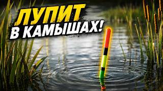 НАРВАЛИСЬ НА ТАКОЕ! Уехали с НОЧЁВКОЙ и НАЧАЛСЯ ЖОР в мае! Рыбалка 2026