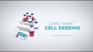Rolling with the Tide: CelCradle™ Benchtop Bioreactor Cell Seeding | Esco VacciXcell