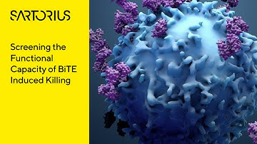 Screen Functional Capacity of Bispecific T Cell Engager Induced Killing With Advanced Flow Cytometry