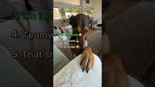 Most Wholesome Dog Moments 🥺 (Rank 1 made me cry)