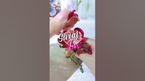 💖Suraj 💖 name status video