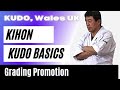 Kudo promotion test  kihon basics