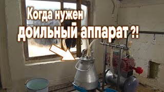 Когда нужен доильный аппарат? / Стоит ли покупать доильный аппарат с одной коровой