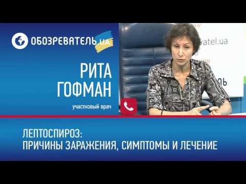 Лептоспироз: причины заражения, симптомы и лечение