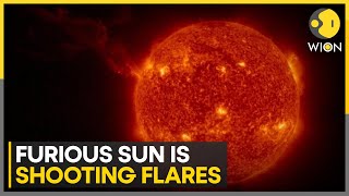 Sun leashes massive Solar flare | Latest News | WION