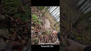 whitetail hunting in TN with an air rifle