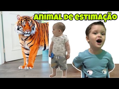 Vídeo: Qual é O Animal De Estimação Mais Despretensioso