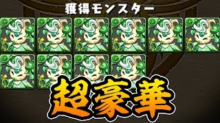 怒涛のモクピィラッシュが美味すぎる！＋新キャラの雑談【パズドラ】