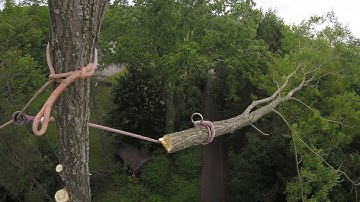 Split Locust, Span Rigging, Belly Rigging, or Double Whip