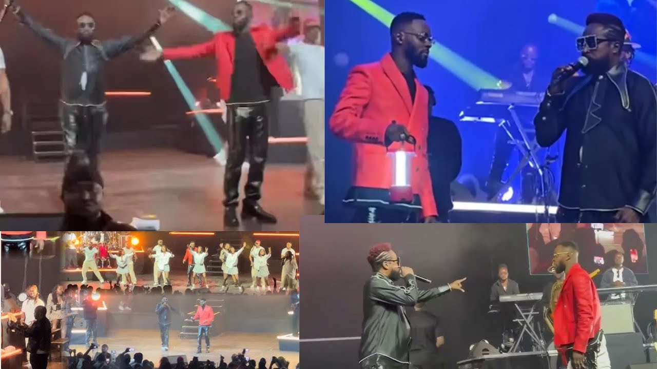 Heritier Watanabe’s Paris Concert ft. Werrason | An Iconic Night of Music