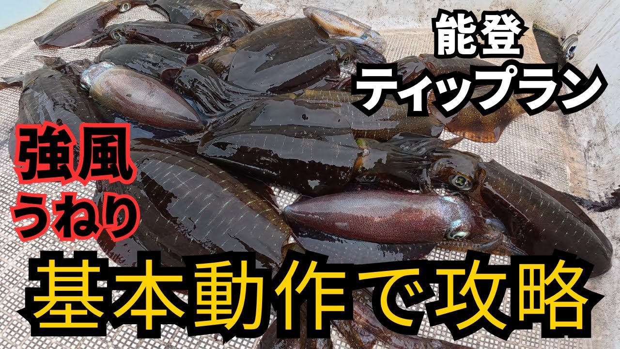 悪条件でも基本さえ守れば釣れる！今日もティップランでアオリイカ狙ってきました【マイボート】【ティップラン】