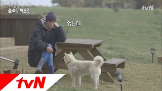 Little House in the Forest 소지섭, 숲속의 작은 개와 대화 시도♡ 180504 EP.5