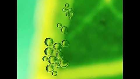 A mango leaf producing oxygen in real-time.