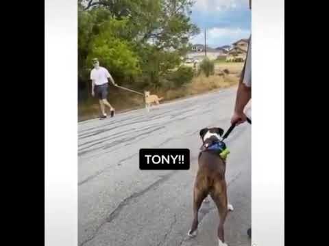 F Ck You Tony Youtube F Ck You Tony Youtube