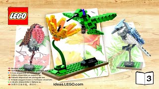 LEGO instructions - LEGO Ideas - 21301 - Birds (Book 3)