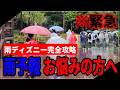【これ１本で全てわかる】雨の日ディズニー完全攻略！全て知れば楽しめます