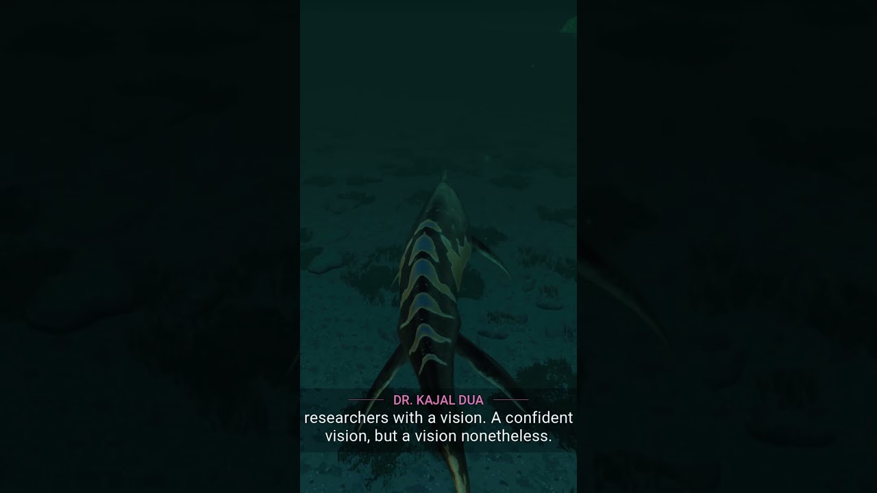 Shonisaurus | Prehistoric Marine Species Pack 