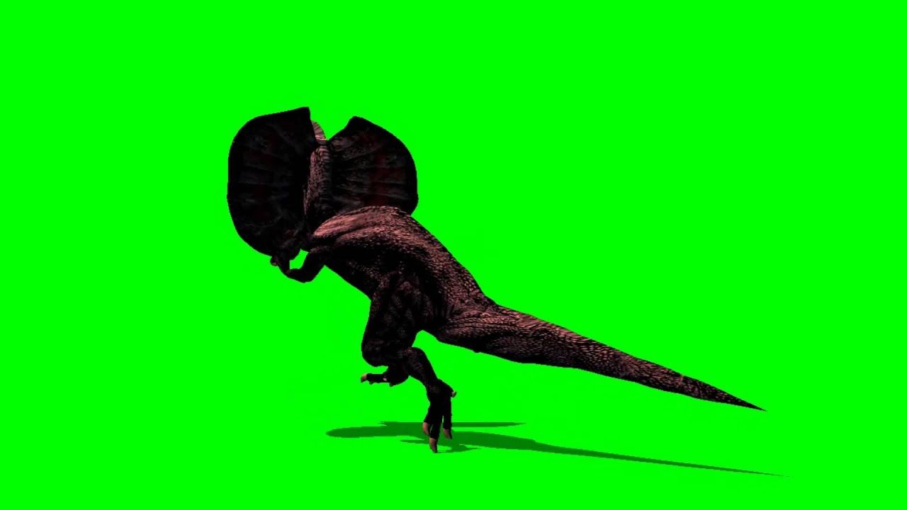 raptor dinosaur runs green screen 4 - free green screen - free use ...