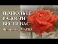 Ченнелинг МАРИЯ | Позвольте радости вести вас