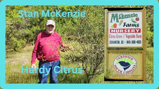 Hardy Citrus with Stan Mckenzie of McKenzie Farms