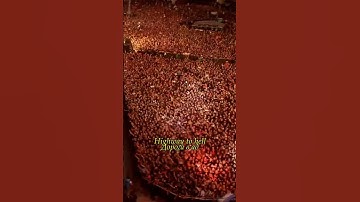 Thumbnail of AC/DC (ACDC) - Highway to Hell (Live at River Plate, 2009) #acdc #highway #highwaytohell