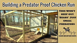 Build a Predator Proof Chicken Run