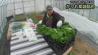 朝収穫と袋詰め 2020年12月13日 #347