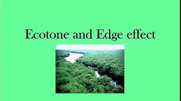 Ecotone and Edge effect | envirocademy
