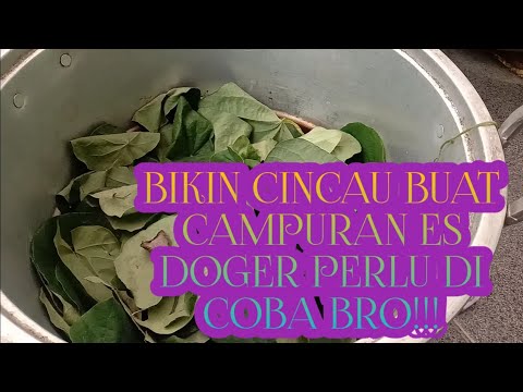 Es Doger Cincau Hijau