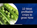 10 Most profitable crops giving farmers huge cash in just three months