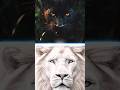 Black Panther vs White Animals (Lion, Tiger, Polar)