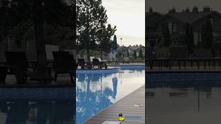Бетонный бассейн Robinson Club #бассейн