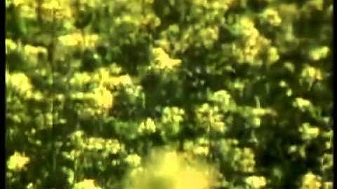 MEGGY Z - HATI YANG LUKA.flv