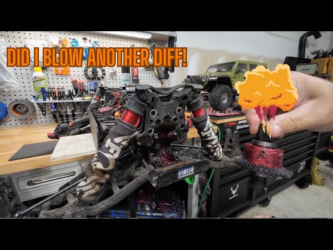 Checking Rear Diff