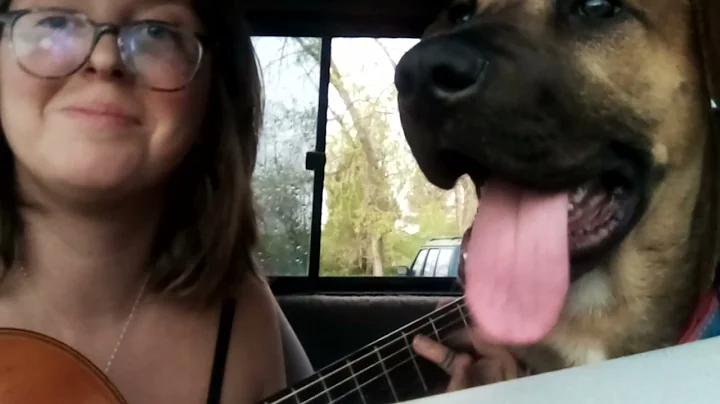 Cover of Never Learn by 'devil makes three'