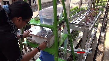 NET. JATIM - PENGATUR NUTRISI TANAMAN HIDROPONIK SECARA OTOMATIS KARYA MAHASISWA