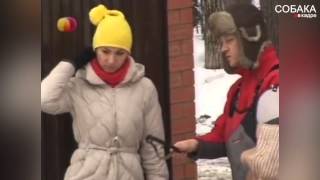 Немецкая овчарка. Охрана дома. Немецкая овчарка. Охрана дома.