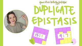 Epistasis - Duplicate Recessive (9:7 Ratio) vs Duplicate Dominant (15:1 Ratio)