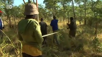 Zambia: Measuring Forests | Global 3000