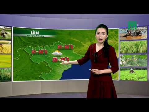 Video Thời tiết nông vụ ngày 05/07/2019 : Bà con vẫn cần... - youtube